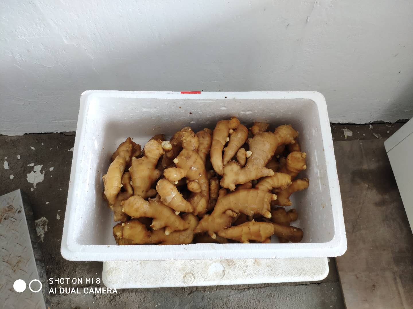 漳州企業(yè)配送