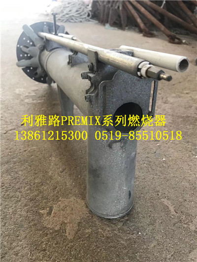 利雅路FGR煙氣外循環(huán)燃燒器*惠