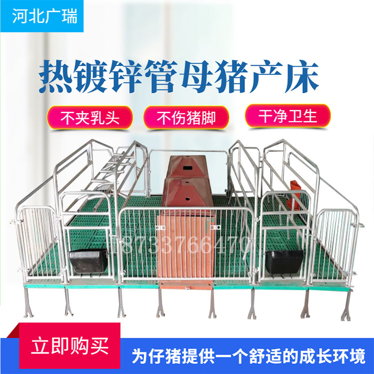 豬用母豬產(chǎn)床保育床雙體養(yǎng)豬場設備 雙體母豬產(chǎn)床保育床兩用分娩床 雙體母豬產(chǎn)床保育床分娩床