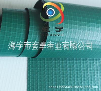 浙江廠家供應(yīng)500D/9*9PVC夾網(wǎng)布 跳床包邊布 涂層布 PVC涂層布 PVC涂層網(wǎng)布