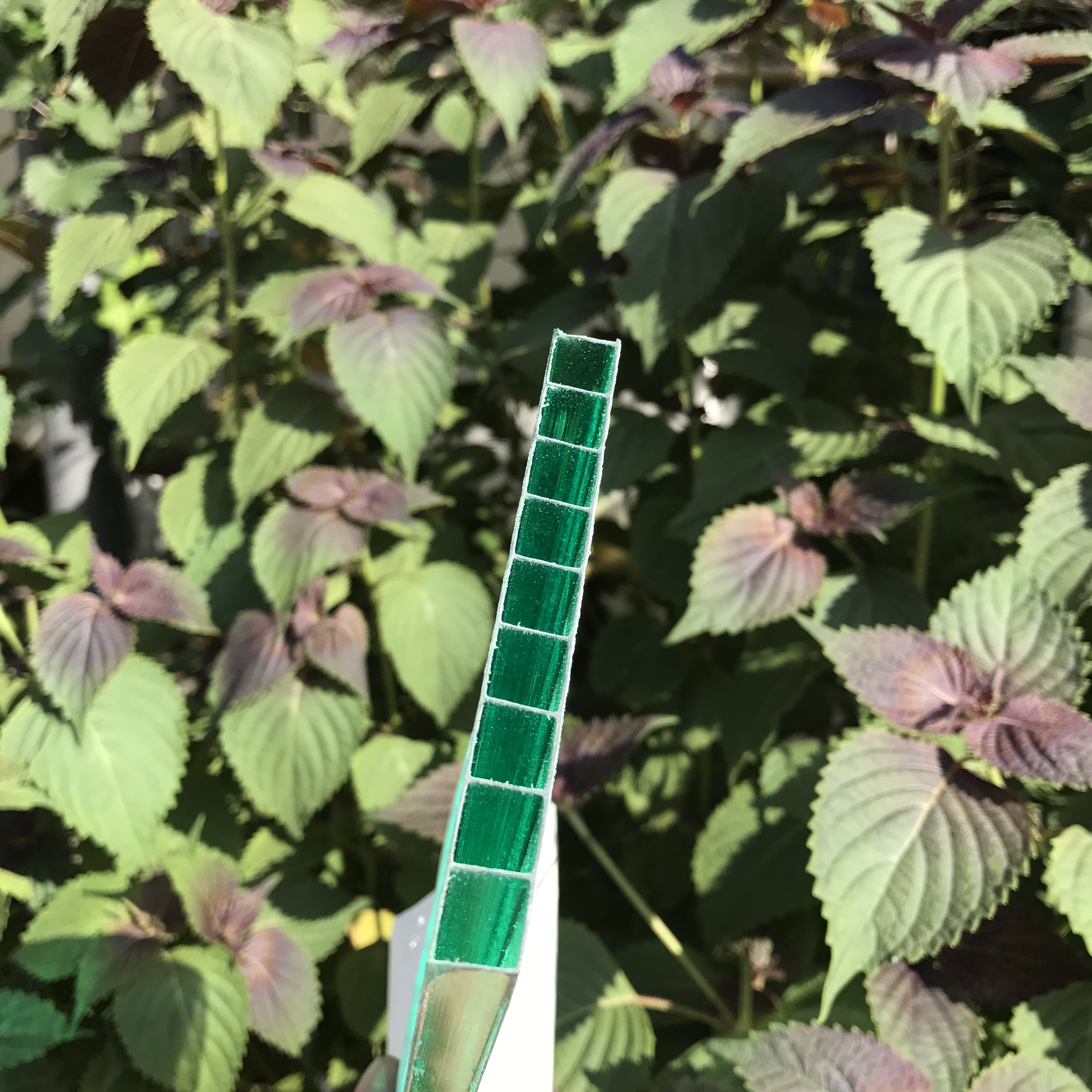 草綠陽光板報價 草綠陽光板哪里好