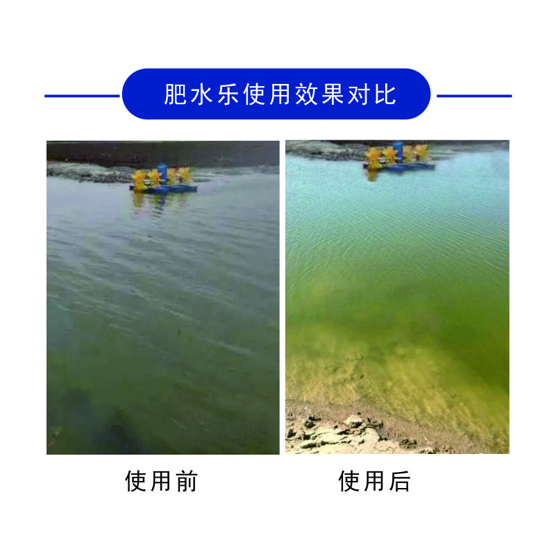 池塘里青苔水處理方案 池塘青苔