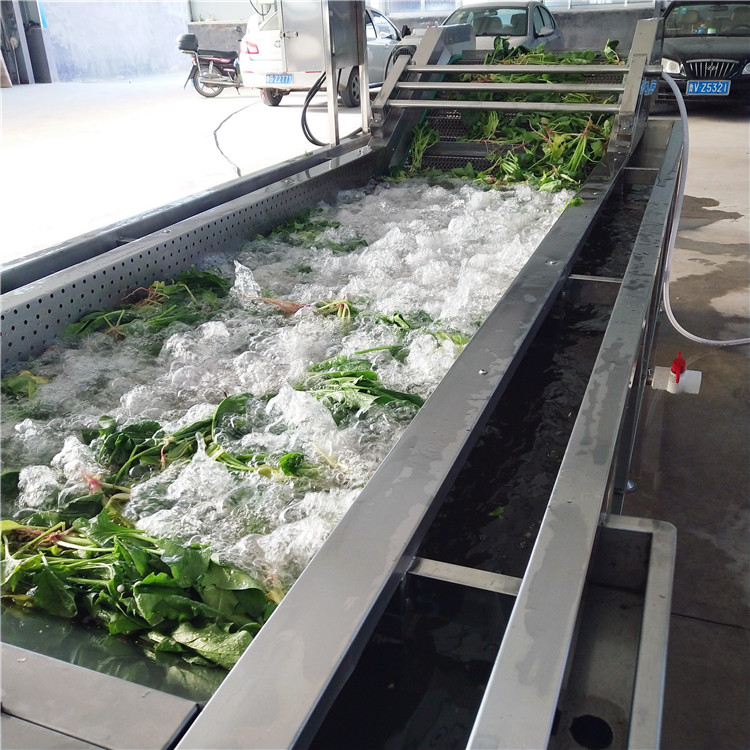 800-大姜高壓噴淋氣泡清洗機定制大姜深加工全套設(shè)備