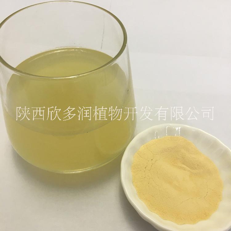 現(xiàn)貨供應(yīng) 檸檬果粉