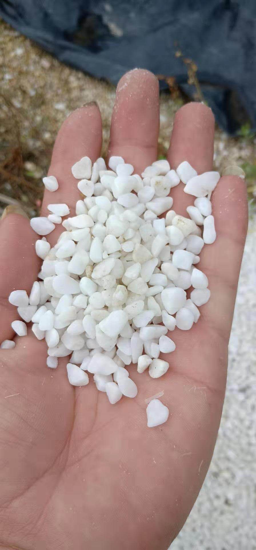 盆栽多肉水洗石 天然水磨洗米石 園藝洗米石 鋪面水磨石