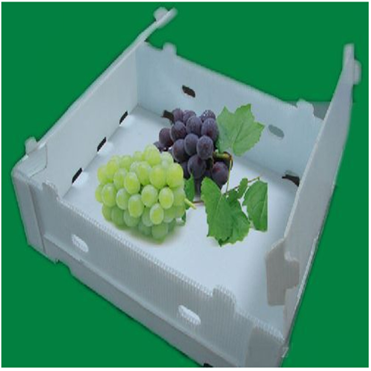 多層共擠中空板機械1800多層共擠PP中空板生產(chǎn)線PP多層中空板設備