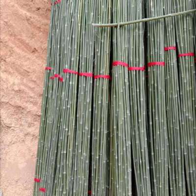種菜支撐竹子廠家 農(nóng)用大棚蔬菜爬藤用竹竿 菜架竹長短可定