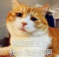 科學(xué)養(yǎng)寵：教你讓家養(yǎng)貓乖乖吃飯養(yǎng)寵：教你讓家養(yǎng)貓乖乖吃飯