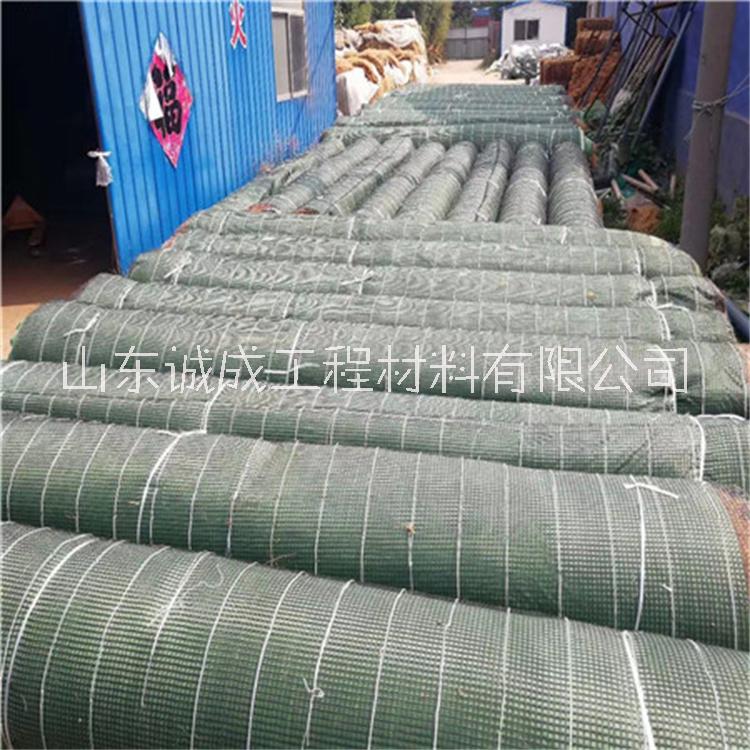 加筋抗沖生態(tài)毯 加筋植生毯 加筋抗沖毯  加筋防沖毯護(hù)坡