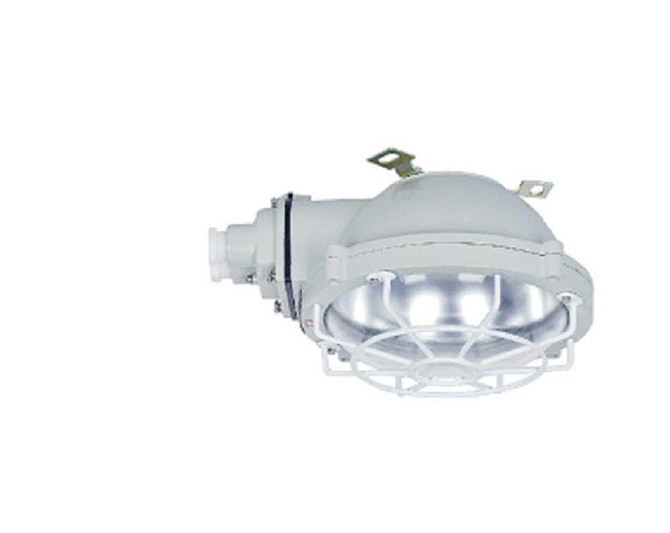 粉塵防爆吸頂燈