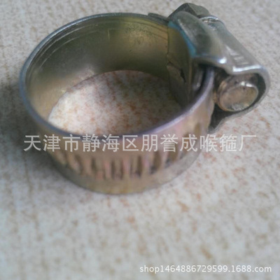 廠家供應(yīng)水管喉箍  水管喉箍廠家報價