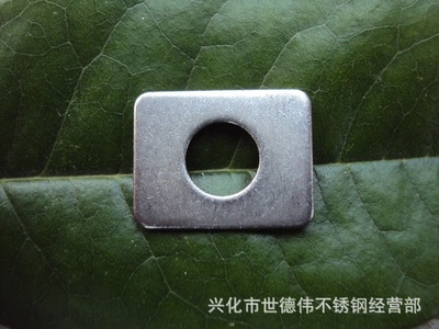 304加大墊圈價格  304加大墊圈多少錢
