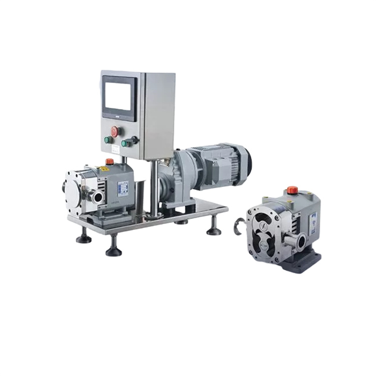 進(jìn)口變頻調(diào)速型轉(zhuǎn)子泵