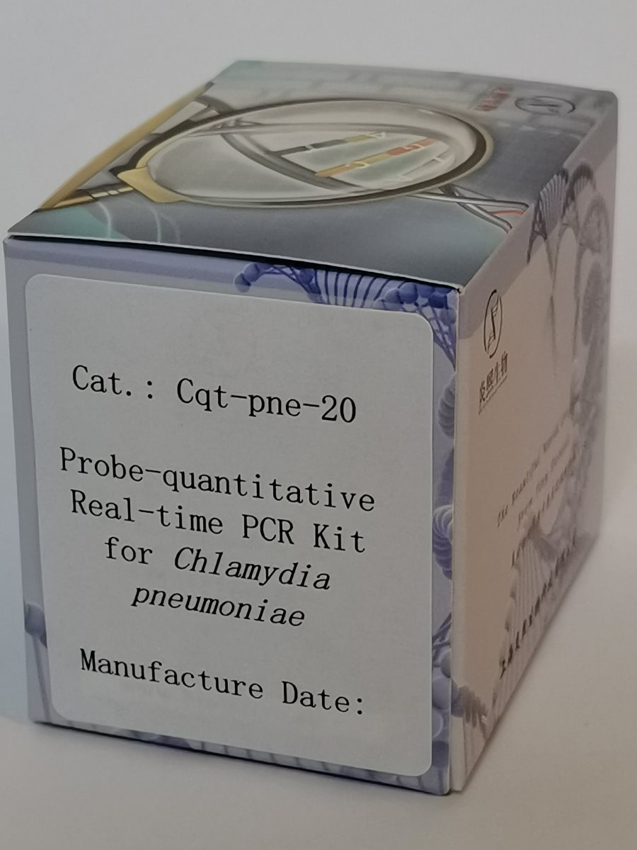 探針法肺炎衣原體實(shí)時(shí)定量PCR試