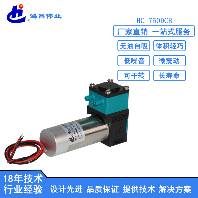 HC 750DCB微型液泵廠家批發(fā) 微型液泵供貨商