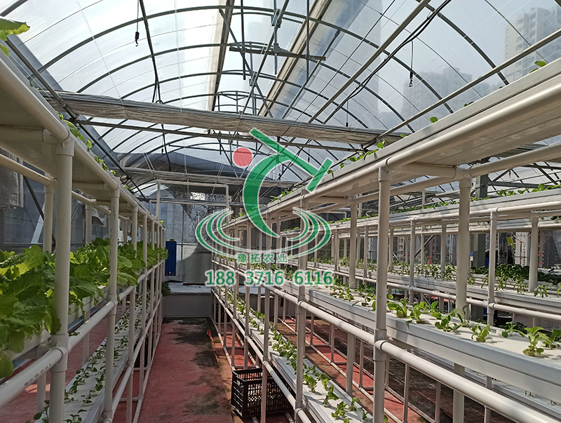薄膜溫室大棚生產(chǎn)廠家  薄膜溫室大棚哪家好
