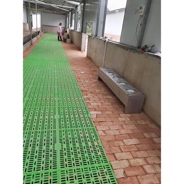 畜牧養(yǎng)殖設備制造市場價格  畜牧養(yǎng)殖設備制造廠家