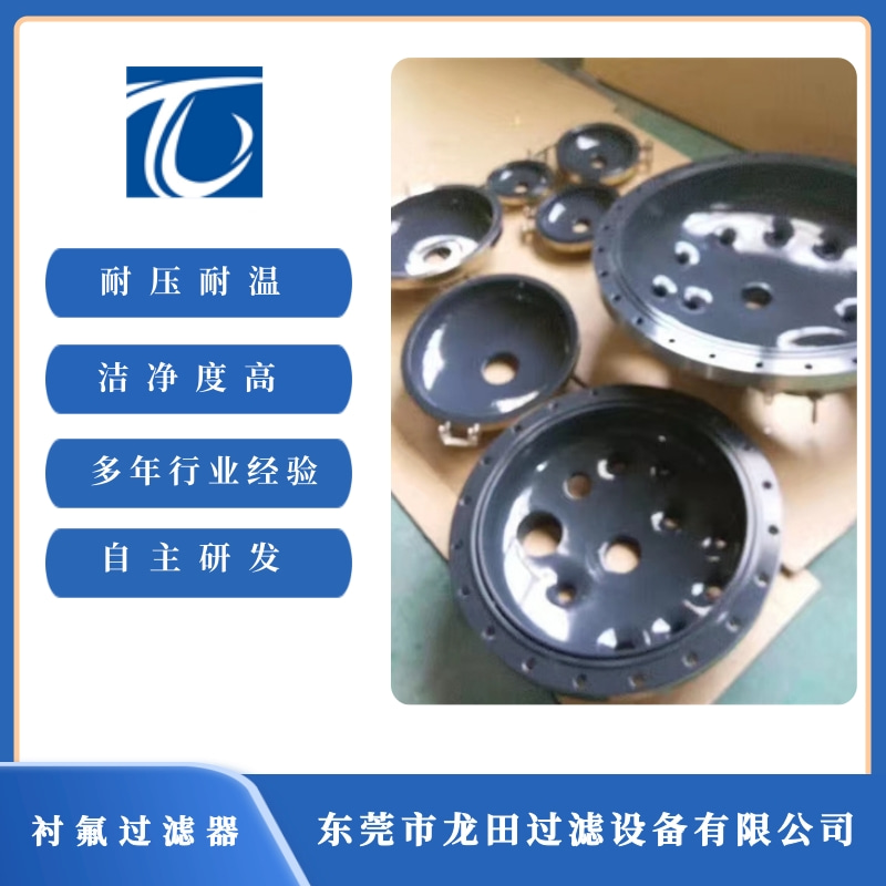 東莞襯氟過濾器廠家  東莞襯氟過濾器報價【東莞市龍?zhí)镞^濾設(shè)備有限公司】