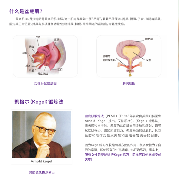 盆底康復儀 婦科盆底康復儀