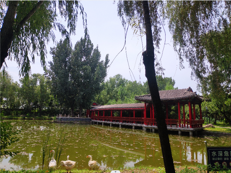 北京景觀魚池凈化公司   朝陽景觀魚池凈化價格