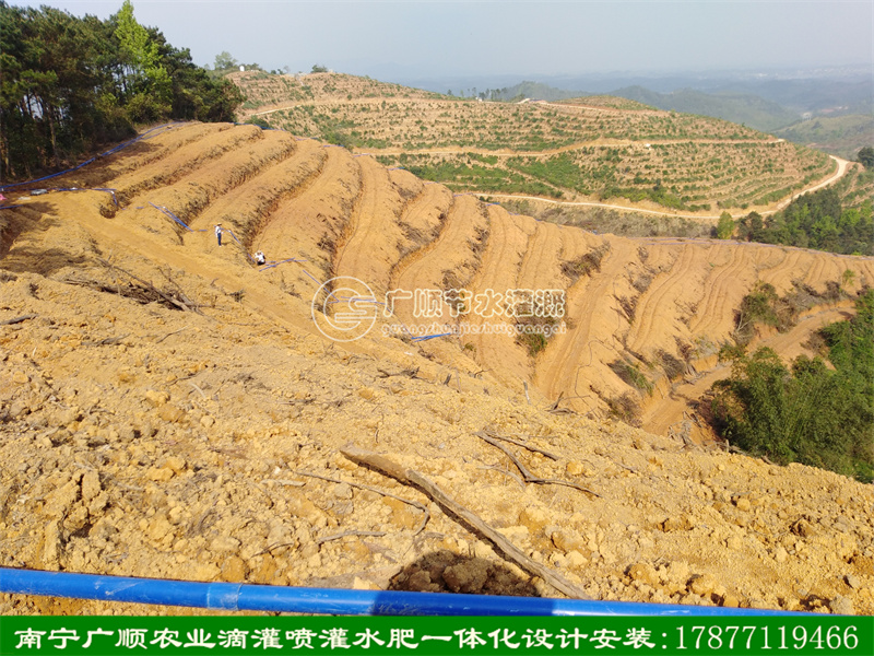 廣西大面積基地灌溉設(shè)備 水肥一體化工程設(shè)計安裝
