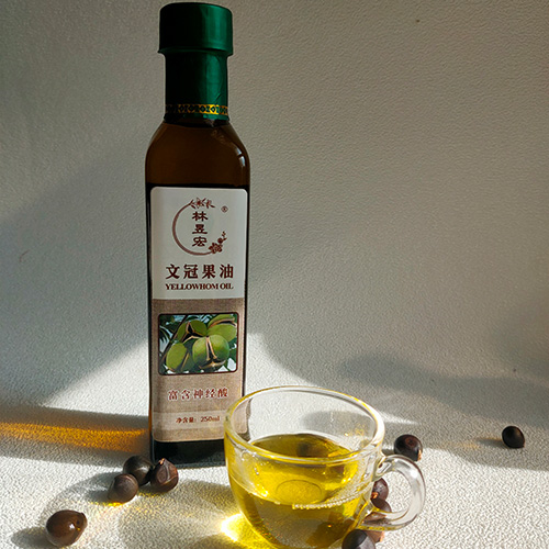 文冠果油供應商  文冠果油出售