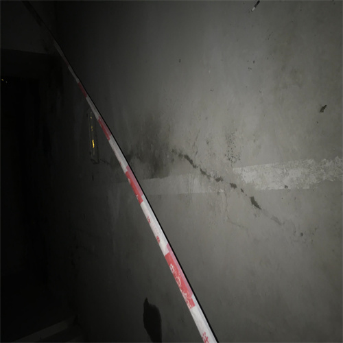 南寧專業(yè)樓面裂縫防水補漏,廣西永固防水補漏公司